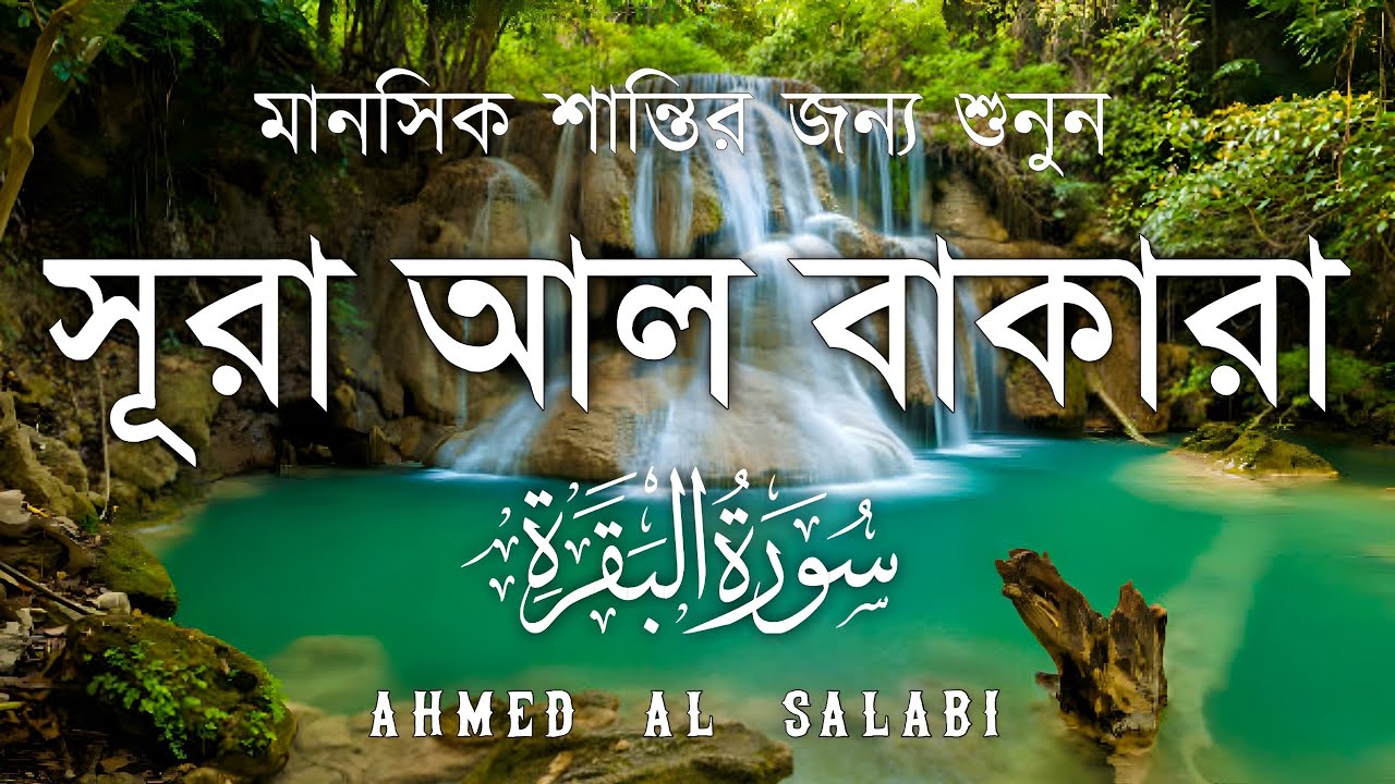 ঘরের উন্নতির জন্য সূরা বাকারা প্রতিদিন শুনুন I Surah Baqarah Full Quran Recitation | Ahmed Al Salabi