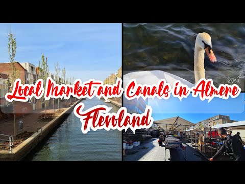 Local Market and Canals in Almere, Flevoland - Netherlands | Travel Vlog