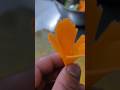 Cucumber/carrot art#shorts