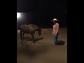 Bekah Tate &quot;Hold Your Horses&quot; Bodywork