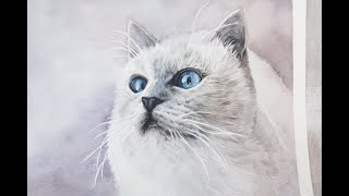 Watercolor Painting - Cat/ 수채화-고양이