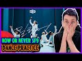 REAGINDO A SF9 - 질렀어 (Now or Never) Dance Practice Video FIX ver.