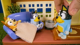 Bluey &amp; the Mystery of the Broken Vase!