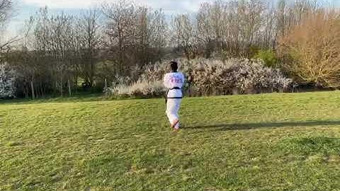 Tang Sou Dao: Kai, Luo Han Form 2