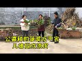 公婆种的菠菜吃不完，儿媳见了也发愁，动手做成凉皮，会成功吗 I steamed cold noodles with spinach