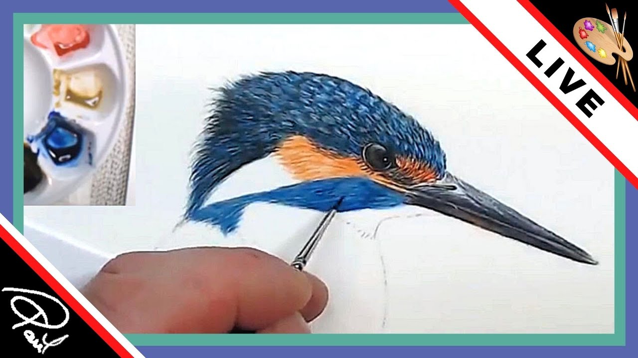 Прямая трансляция от художника из Девона - Картина акварелью с изображением зимородка.
