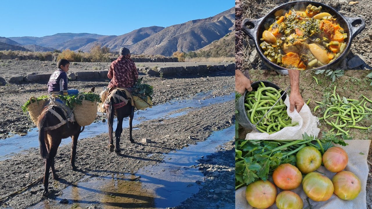 من هنا يبدأ المجهود الفلاحة والمنتجات طبيعية على واد غيس في أيت وياغر..نواحي الحسيمة