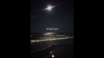 سورة البقرة 🌟 القارئ فارس عباد 🌙 #نور_القرآن #قرآن