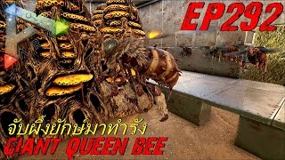 BGZ - ARK: Survival Evolved EP#292 จับราชินีผึ้งยักษ์ทำฟามน้ำผึ้ง Giant Queen Bee