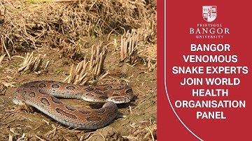 Two Bangor venomous snake experts join World Health Organisation panel