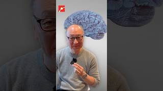 Can You Freeze Your Brain? The Science of Cryonics @museumofscience