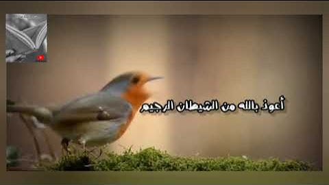 فسبحان الله حين تمسون وحين تصبحون..|القارئ عبد الرحمن مسعد..