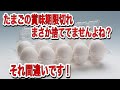 【絶対お得な情報！】たまごの賞味期限について皆さまは間違っています！