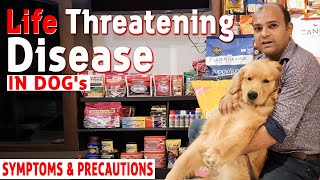 Is Your Dog's Life In DANGER? Life Threatening Parvo VirusSymptoms & Precautions | Baadal Bhandaari