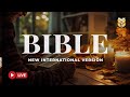 Holy Bible NIV – God’s Word of Hope, Faith and Eternal Life 🔴 BibleVision LIVE