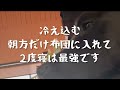 飼育して分かった大型犬いろいろランキング