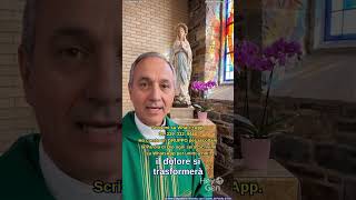 Alla fine di maggio del 2026, #amen #gesù #pregare #signore
