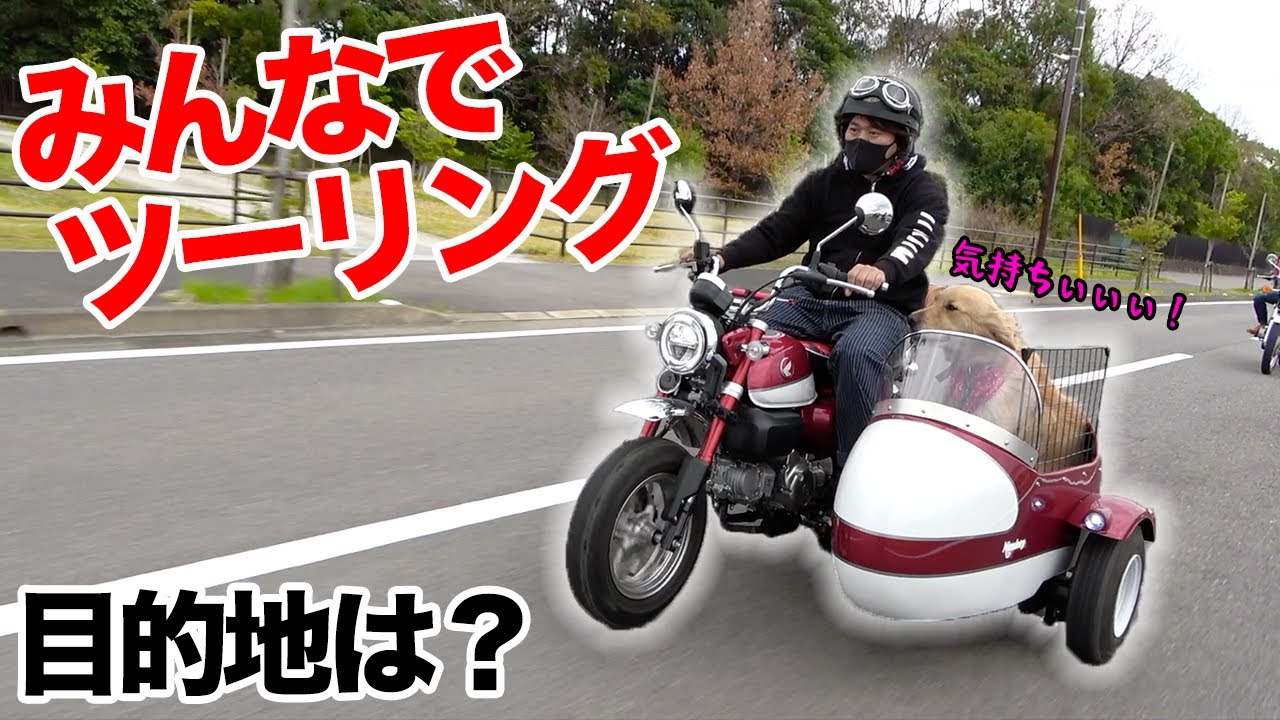 ゴールデンレトリバーをサイドカーに乗せてツーリング！