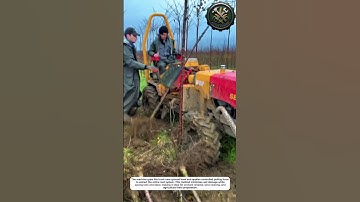 Powerful Tree Uprooting Machine – Fast Orchard Tree Removal