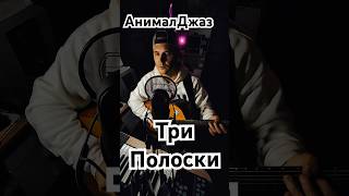 Кавер на «АнималДжаз— Три полоски»