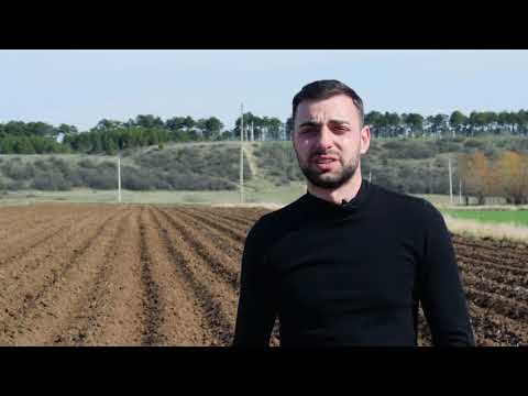 სადემონსტრაციო ნაკვეთი  კარტოფილი, ქარელი  11 04 2019