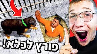 מה יקרה אם הכלב של פרנקלין ייכנס לכלא ב GTA V?! (משחררים את צ'ופ מהכלא ב GTA V!)