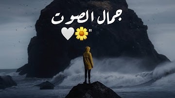 خشوع الصوت لا يوصف 💔🥺 أجمل حالات واتس اب قرآن كريم بصوت جميل جدا ❤️😍 Quran Status