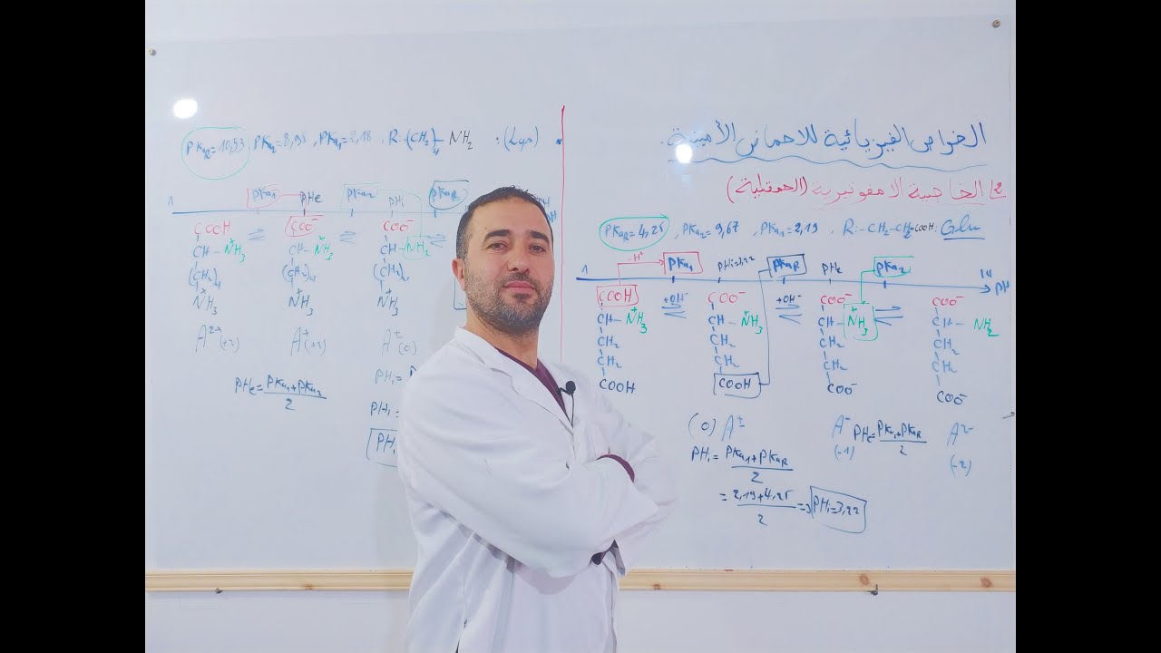 الخاصية الأمفوتيرية للأحماض الأمينية (الصيغ الأيونية)