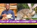 Rabbit Farming: Cost Of Starting A Rabbit Farm - Beginners Guide