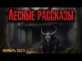 ЛЕСНЫЕ РАССКАЗЫ | Страшные истории