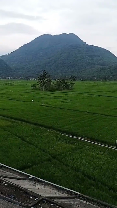 jalan anyar kadungora, garut endah