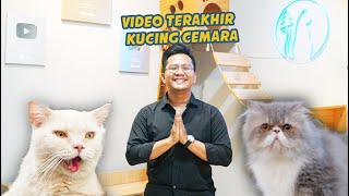 VIDIO TERKAHIR KUCING CEMARA by Kucing Cemara 13,973 views 3 weeks ago 18 minutes