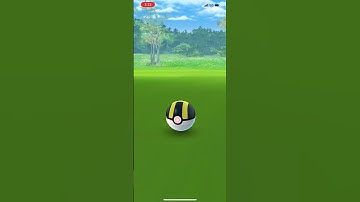 Catching a shiny eevee from research