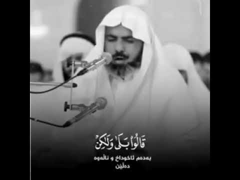 القارئ عمر عبدالله وسيق الذين كفروا الى جهنم زمرا