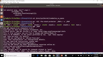 Return Oriented Programming