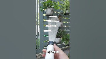 BỘ VÒI TƯỚI TỰ THU DÂY 15 MÉT AURORA TAKAGI NHẬT BẢN R715FJC2 #voituoicay #takagi