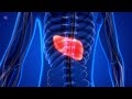 Our Best-Selling Wellness Products | Mahoney Supplements #wellness #supplements #detox #liverdetox