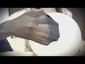 【ASMR】黒ストと白風船♡