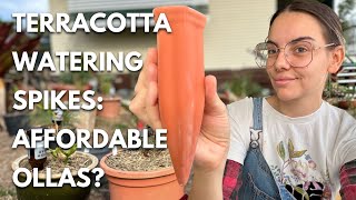 Are These Terracotta Watering Spikes Worth It? | Affordable Olla Alternative