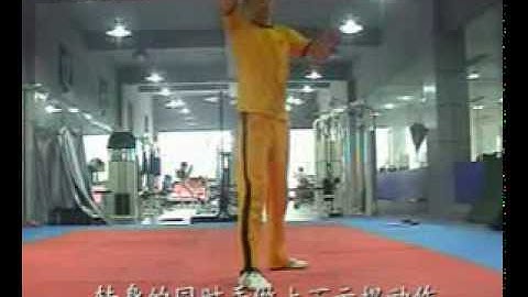 chinese tutorial : nunchaku + kicks