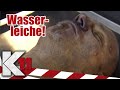 Genickbruch mit bloßen Händen: Ist der Täter ein Profi-Killer? | 2/2 | K11 - Die neuen Fälle | Sat.1