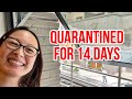 My Quarantine Experience In Taiwan (Yes, There Is Tesla In This Video!)