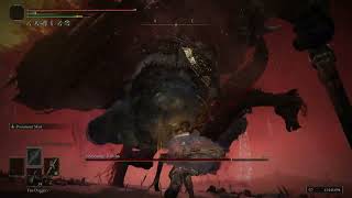 How to beat MOHG and RADAHN EASILY! - Elden Ring Shadow of the Erdtree Preparation Guide