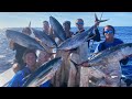 THE MOST INSANE FISHING IVE EVER EXPERIENCED... Yellowfin Tuna Mayhem (Pulled Over By Coast Guard)