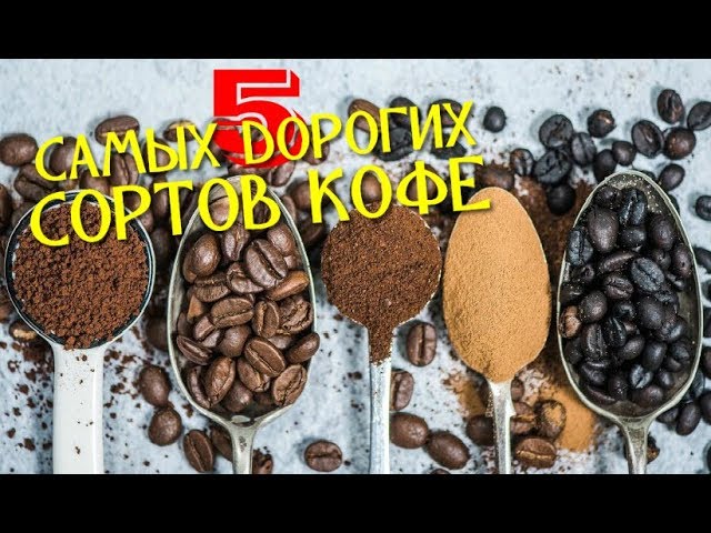 5 САМЫХ ДОРОГИХ СОРТОВ КОФЕ