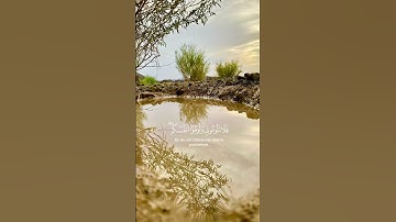 وقال الشيطان لما قضي الأمر| محمد الوكيل|  سورة إبراهيم🤍 #سبحان_الله #اكسبلور