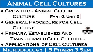 growth of animal cells in culture | procedure of animal cell culture | applications of cell culture