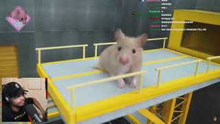 ImDontai Reacts To Hampster Squid Games