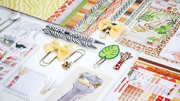 Unboxing Cocoa Daisy Serengeti kits