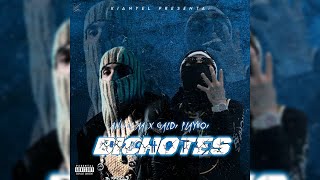 Anuel AA X Galdi Playboi - BICHOTES (Audio Oficial IA)